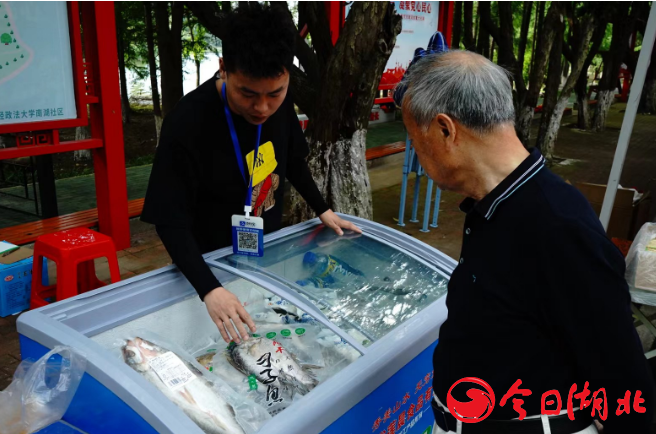 湖北万湾湖胖头鱼养殖有限公司.png